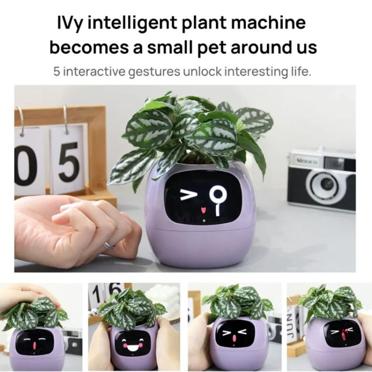 Smart Plant Pot With Multi-Sensors WiFi Plant Monitor With 2-Inch Screen Compatible With Mi/Tuya Home Ecosystem(Purple) by bashfashion