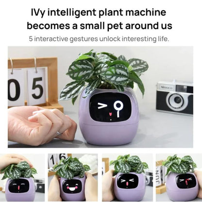 Smart Plant Pot With Multi-Sensors WiFi Plant Monitor With 2-Inch Screen Compatible With Mi/Tuya Home Ecosystem(Purple) by bashfashion