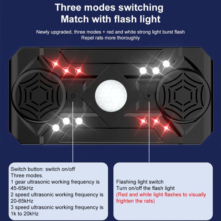 TBD06062359_B5.jpg@f201f2ace6e01efe5d46ed31c7953dd1